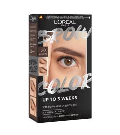 Loreal Paris - Tintura de sobrancelha semipermanente Brow Color - 5.0: Brunette