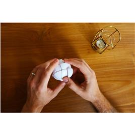 Recent Toys Logic Game Morph’s Egg Doll