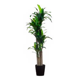 Planta artificial 