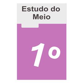 AREAL EDITORES Caderno de Atividades TRIX  (Estudo do Meio; 1º Ano)