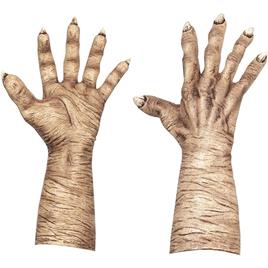 Evil Witch Hands Flesh