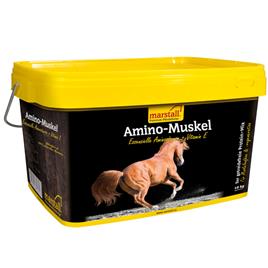 marstall Amino para os músculos - Pack económico: 2 x 10 kg