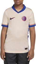 Camisa Nike CFC Y NK DF JSY SS STAD AW 2024/25