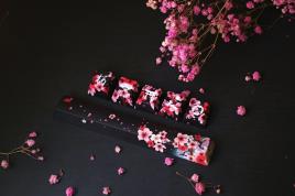 Conjunto 6 Teclas TRAITORS Sakura (Kuro) - PBT