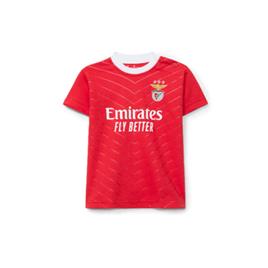 T-shirt réplica equipamento principal 24-25, SL Benfica, Sl Benfica