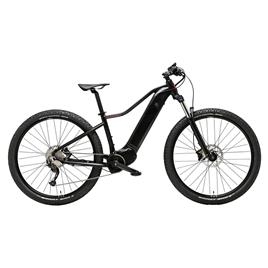 Adriatica Rayon 3.0 29´´ Alivio Mtb Electric Bike  M / 720Wh