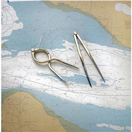 Topomarine Bússola Reta De Aço Inoxidável