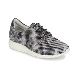 Maruti  Sapatilhas WING  Castanho Disponível em tamanho para senhora. 36,37.Mulher > Sapatos > Tenis