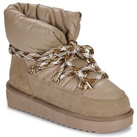 D.Franklin  Botas baixas NORDIC NOVA 375  Castanho Disponível em tamanho para senhora. 36,37,38,39,40,41.Mulher > Sapatos > Botins