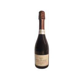 Quinta do Poço do Lobo Tinto 2021 Espumante