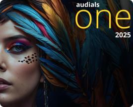 Audials One 2025 1 Ano