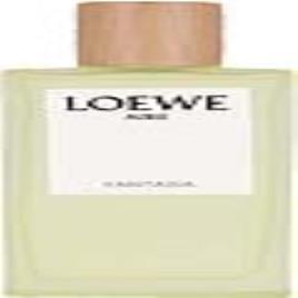 Perfume Unissexo Aire Fantasia Loewe EDT (100 ml)