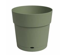 Vaso