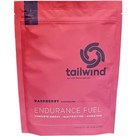 Tailwind Eletrólito Em Pó Endurance Fuel 810g Framboesa