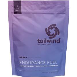 Tailwind Eletrólito Em Pó Endurance Fuel 810g Floresta Frutas