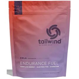 Tailwind Eletrólito Em Pó Endurance Fuel 810g Cola