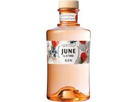 Gin June By G'vine Wild Peach 0.70l