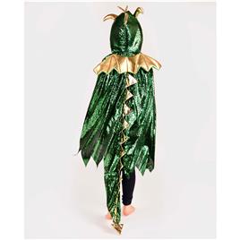 Den Goda Fen Fato De Criança Com Capa De Dragão