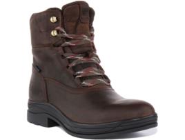 Botas de Mulher ARIAT Pele Castanho (40)