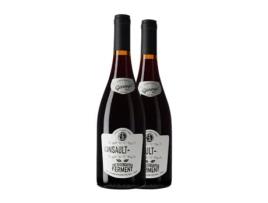 Vinho GARAGE WINE The Soothsayer's Ferment Cinsault Valle del Maule (0.75 L - 2 Unidades)
