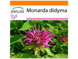 SAFLAX Garden In The Bag Bálsamo de Abelha Monarda Didyma 20 Sementes com Substrato de Cultivo em Saco Prático e Automontante
