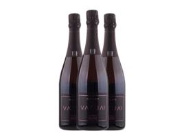Espumante rosé COLET Vatua Rosé Clássic Merlot Extra Brut Penedès (0.75 L - 3 Unidades)
