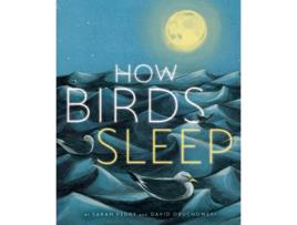 Livro How Birds Sleep de David Obuchowski (Inglês - Capa Dura)