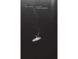 Livro S/Z A European Manifesto de Slavoj Zizek e Jeremy Fernando (Inglês)