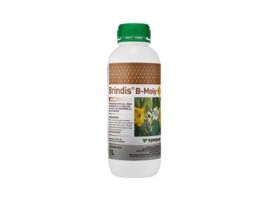 KENOGARD Preparado Especial Floración Cuaje Y Desarrollo de Frutos Brindis B-Moly Botella 1 Litro