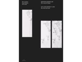 Livro Bart Janssen, Koen Peeters, Dirk Zoete Not A Day Without A Line / Geen Dag Zonder Lijn de Janssen Bart (Inglês)