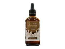 Tintura Andrographis Paniculata LYMEHERBS 1:5 100Ml