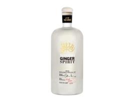 Gin NONINO Ginger Spirit Destillat aus Reinem Ingwer Friuli Garrafa Medium (0.5 L - 1 Unidade)