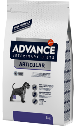 Vet Dog Articular
