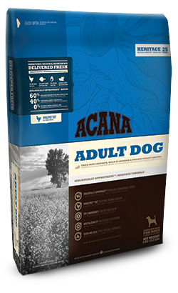 Heritage Adult Dog