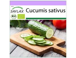 SAFLAX Orgânico Pepino Marketmore Cucumis Sativus 20 Sementes