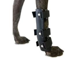 Tala Carpal para Cão ORTOCANIS