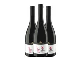 Vinho VILLA CORNIOLE Pietramontis Teroldego Teroldego Rotaliano Crianza (0.75 L - 3 Unidades)