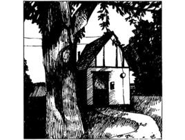 Naomi Cottage Songs Vinil