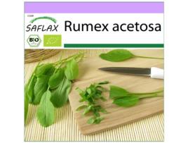 SAFLAX Orgânico Azeda Rumex Acetosa 400 Sementes