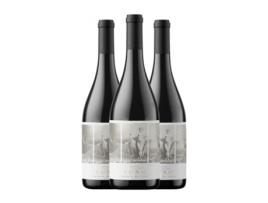 Vinho ABADIA DA COVA Xuno Negre Mencía Ribeira Sacra Crianza (0.75 L - 3 Unidades)