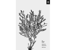 Livro Elegant Puzzle de Will Larson (Inglês - Capa Dura)
