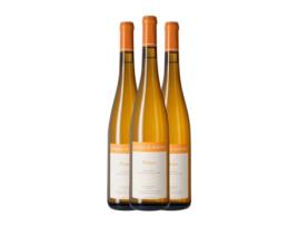 Vinho branco BELLIVIÈRE Prémices Jasnières Chenin Branco Seco (0.75 L - 3 Unidades)