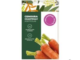 Sementes Hortícolas Cenoura Chantenay