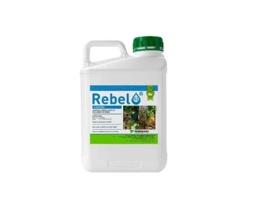 KENOGARD Fungicida Líquido Rebel 52 Jed Suspensión Concentrada Envase 250 Ml