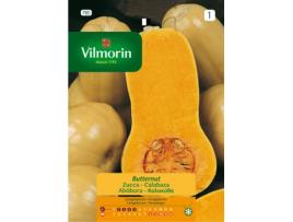 VILMORIN Semillas de Calabaza Butternut S-1 780 Sobre 7 Gr