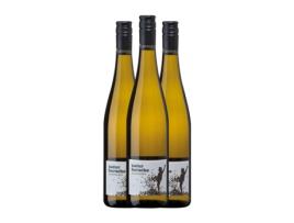 Vinho branco LANDGRAF Naturbursche Pinot Cinza Seco Rheinhessen (0.75 L - 3 Unidades)