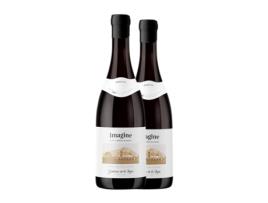 Vinho GUTIÉRREZ DE LA VEGA Imagine Tierras Blancas Giró Ros (0.75 L - 2 Unidades)