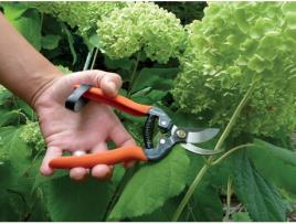 Tesouras de Jardim Primus Tesouras Milagrosas para Rosas GARTEN PRIMUS