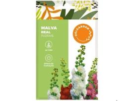 Sementes Florais Mistura De Malvaiscos