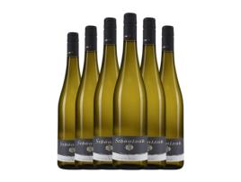 Vinho branco SCHÖNLAUB Sauvignon Branca Pfälz (0.75 L - 6 Unidades)